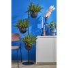 Plantenhouder - L40 x B33 x H140 cm - Zwart - Afbeelding 5