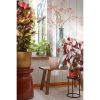 Rioja Fles Vaas - H75 x Ø18 cm - Gerecycled Glas - Transparant - Afbeelding 6