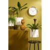 Aries Bloempot op Standaard - Set van 3 - H32 x Ø24 cm - Wit - Afbeelding 6