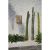 De SiriKit Wandappliqué - Natuurlijk - Afbeelding 3