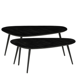 Jailey Bijzettafel - Set van 2 - L84 x B39 x H39 cm - Gerecycled Hout - Zwart