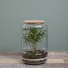Elements Terrarium - H28 x Ø19 cm - Glas - Afbeelding 4