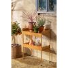 Steffano Plantentafel op Wielen - L69 x B36 x H89 cm - Metaal - Lichtbruin - Afbeelding 6