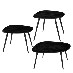 Jailey Bijzettafel - Set van 3 - L62 x B52 x H34 cm - Gerecycled Hout - Zwart