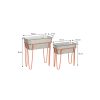 Stanly Bloempot op Standaard - Set van 2 - L42 x B21 x H46 - Metaal - Perzik - Afbeelding 5
