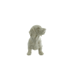 Ornament - Teckel - Polyresin - Beige - 35x23x19cm - Afbeelding 2