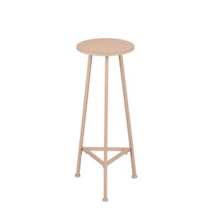 Adine Plantentafel - H80 x Ø30 cm - Metaal - Lichtroze