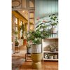 Ascot Plantenstandaard XL - L46 x B46 x H40 cm - Metaal - Zwart - Afbeelding 9
