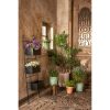 Merlijn Plantenmand voor Buiten - Set van 3 - H26 x Ø24 cm - Gerecycled Plastic - Donkergroen, Wit - Afbeelding 2