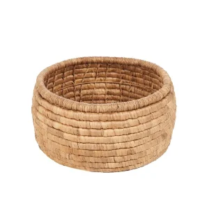 De Sarvatah-mand - naturel