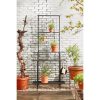 Greenrax Plantenstandaard - L90 x B44 x H190 cm - Metaal - Zwart - Afbeelding 7