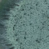 Het Aqua Saladebord - Set van 6 - Afbeelding 2