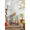 Greenrax Plantenstandaard - L90 x B44 x H102 cm - Metaal - Zwart - Afbeelding 5