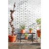 Greenrax Plantentafel - L90 x B44 x H42 cm - Metaal - Zwart - Afbeelding 5