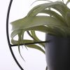 Dexter Hangpot - L34 x B14 x H65 cm - Zwart - Afbeelding 3