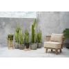 The Charcoal Low - Zwart Naturel - S - Afbeelding 6