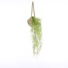 Anne Hangende Bloempot - Set van 2 - H20 x Ø25 cm - Zeegras - Lichtbruin - Afbeelding 5