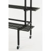 Greenrax Plantenstandaard - L90 x B44 x H102 cm - Metaal - Zwart - Afbeelding 4