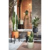 Ascot Plantenstandaard XL - L46 x B46 x H40 cm - Metaal - Zwart - Afbeelding 6
