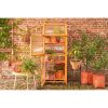 Caminia Kweekkas - L60 x B42 x H152 cm- Mahoniehout - Afbeelding 10