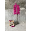 De Suar-kruk - 50 - Afbeelding 5