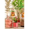 Funny Bloempot Binnen - L20 x B20 x H22 cm - Dolomiet - Oranje - Afbeelding 5