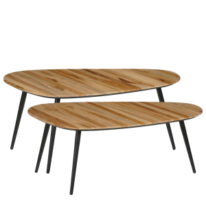 Jailey Bijzettafel - Set van 2 - L84 x B39 x H39 cm - Gerecycled Hout - Bruin