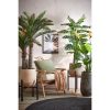 Ascot Plantenstandaard XL - L46 x B46 x H40 cm - Metaal - Zwart - Afbeelding 8