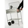 Ken Kweektafel - L77 x B38 x H119 - Verzinkt plaatstaal - Afbeelding 7
