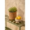 Bologna Bijzettafel Buiten - Set van 2 - L78 x B24 x H68 cm - Metaal - Groen - Afbeelding 6