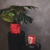 Pot - Kisses - Keramiek - Rood - 17,5x17,5x17,5cm - Afbeelding 2