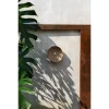 De Caribe Shell Plaat - Natuurlijk Wit - M - Afbeelding 2