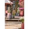 Venice Parasol - H238 x Ø220 cm - Beige - Afbeelding 9