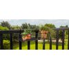 Greenrax Plantenrek Hangend - L58 x B20 x H17 cm - Metaal - Zwart - Afbeelding 4
