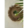 The Early Monday Mirror - Natuurlijk - Afbeelding 3